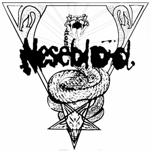 Neseblod, tienda especializada en Black Metal de Oslo